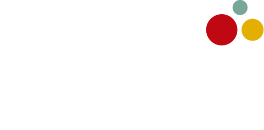 UDISA